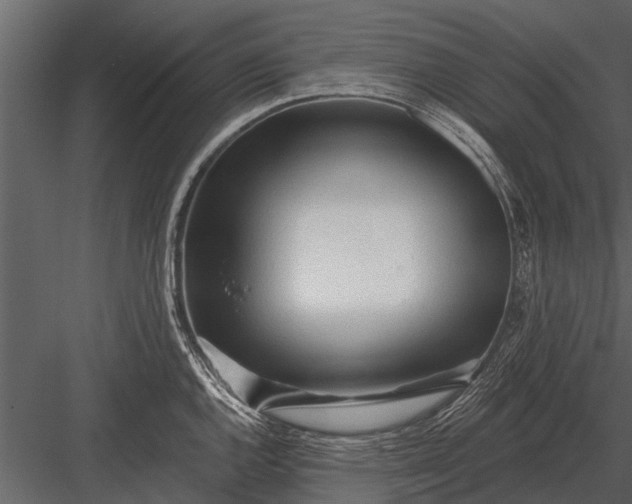 X0000083551144200702240104