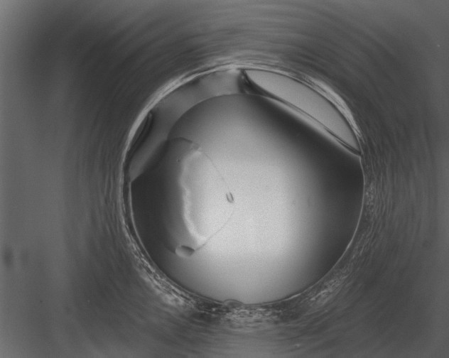 X0000083551146200702240104