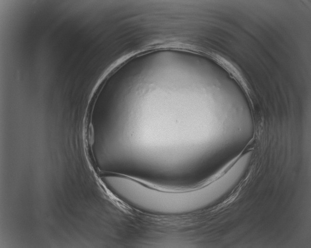 X0000083551149200702240104