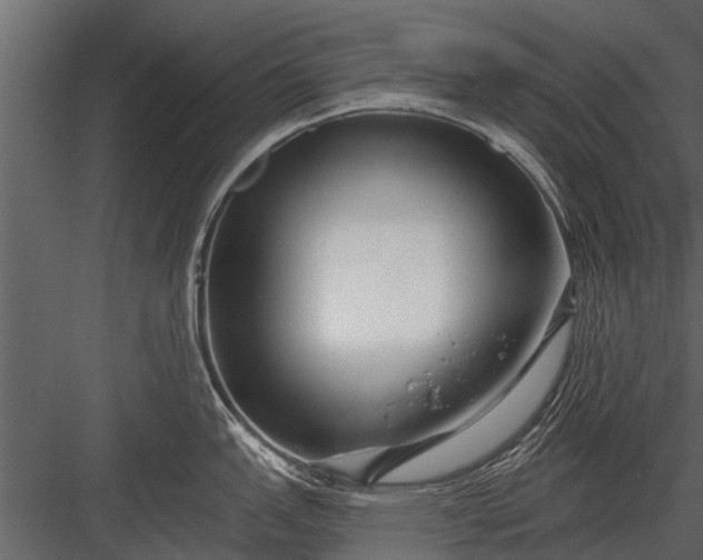 X0000083551151200702240104