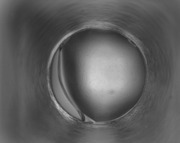 X0000083551152200702240104