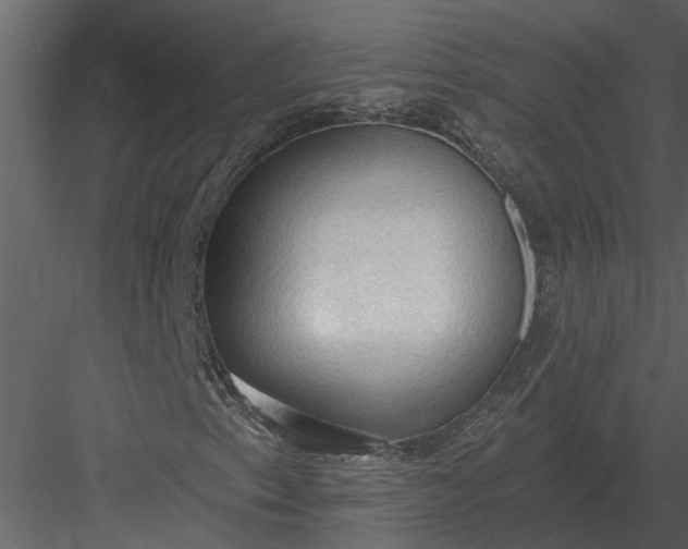 X0000083551153200702240104