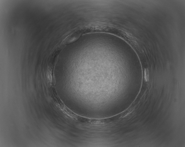 X0000083551155200702240103