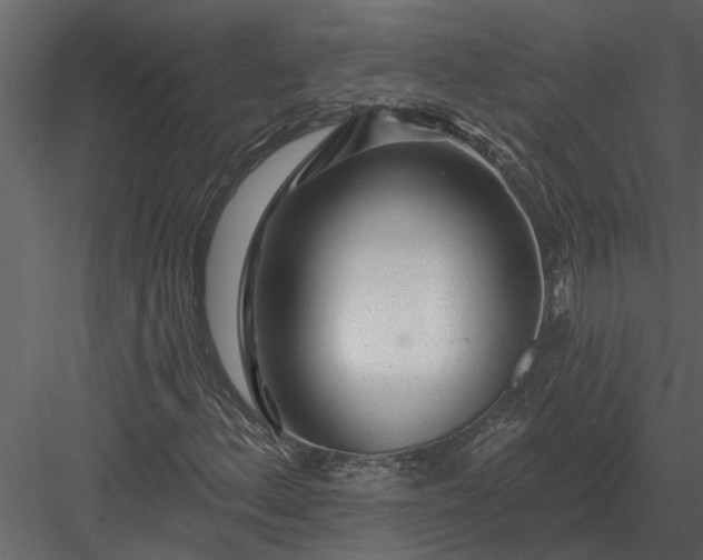 X0000083551156200702240103