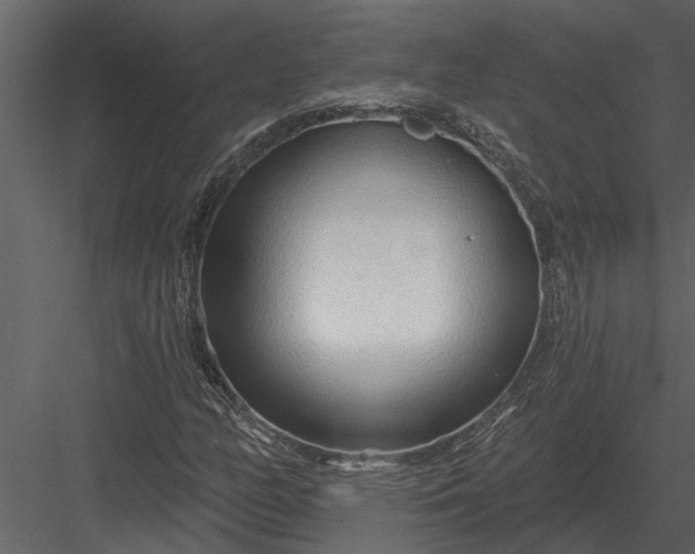 X0000083551158200702240103