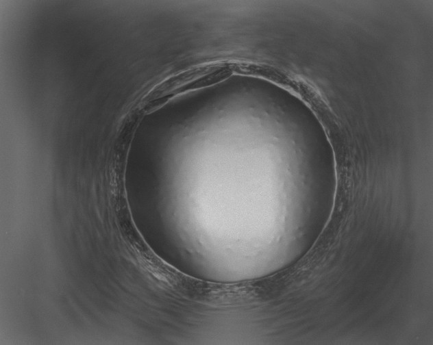 X0000083551159200702240103
