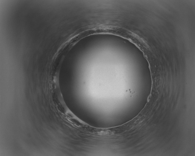 X0000083551160200702240103
