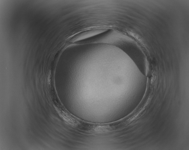 X0000083551161200702240103