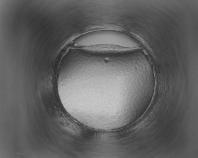X0000083551163200702240103
