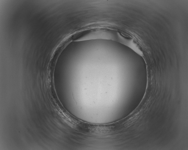 X0000083551164200702240103