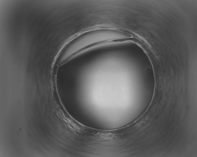 X0000083551168200702240103