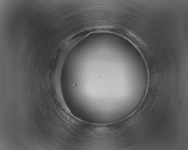X0000083551169200702240103