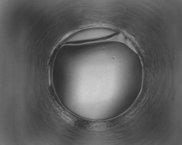 X0000083551171200702240103