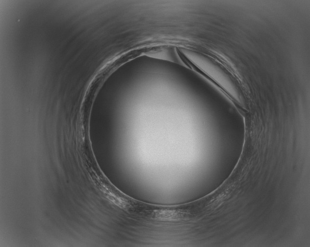 X0000083551172200702240103