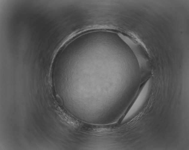 X0000083551173200702240103