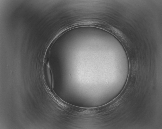 X0000083551178200702240103