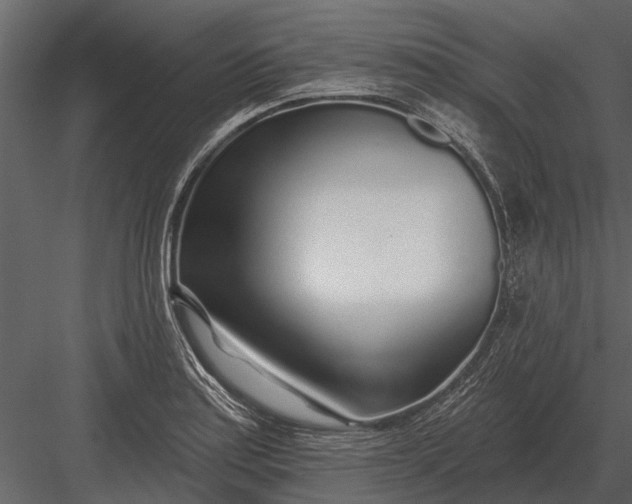X0000083551179200702240103