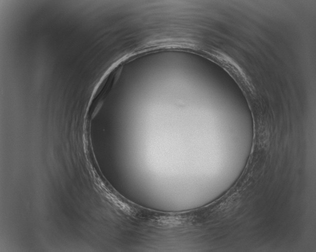 X0000083551182200702240103