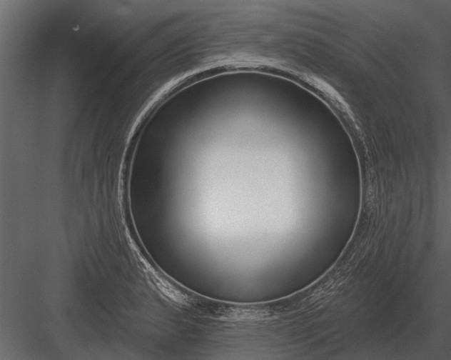 X0000083551183200702240103