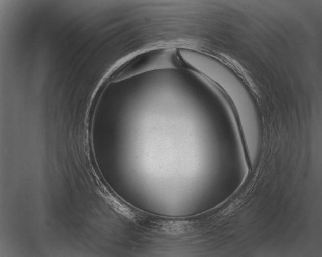X0000083551184200702240103