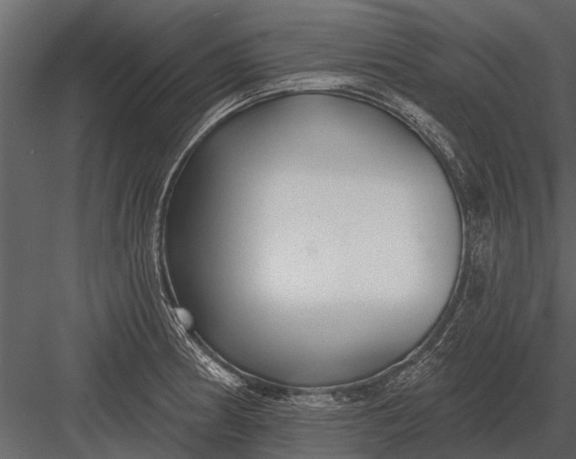 X0000083551186200702240103