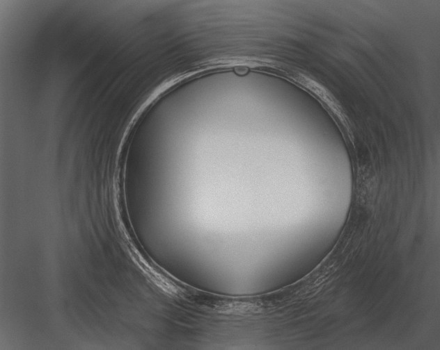 X0000083551187200702240103