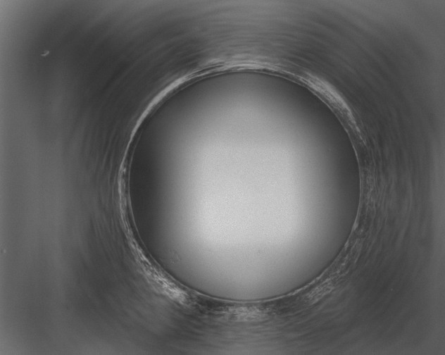 X0000083551190200702240103
