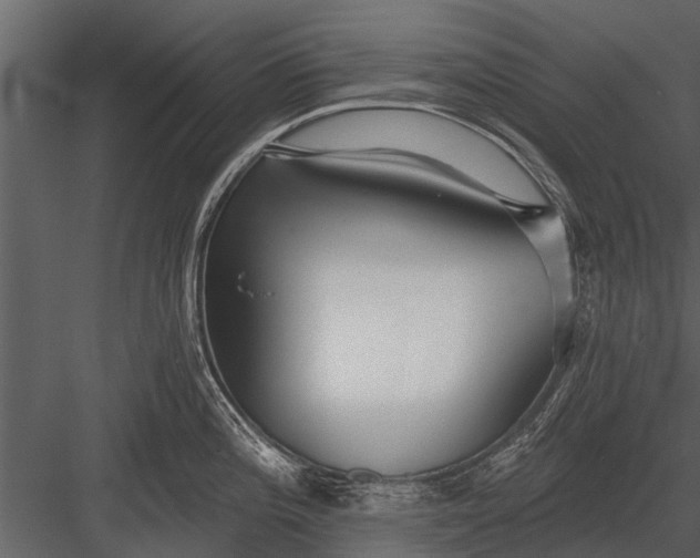 X0000083551196200702240103