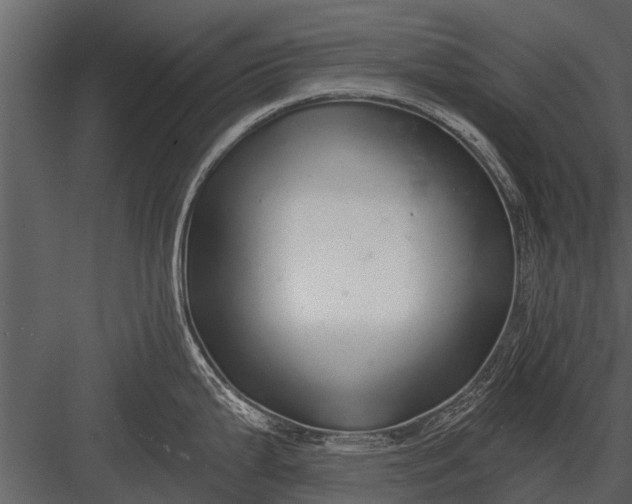X0000083551199200702240103
