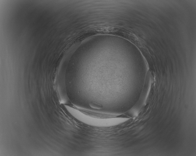 X0000083551202200702240102