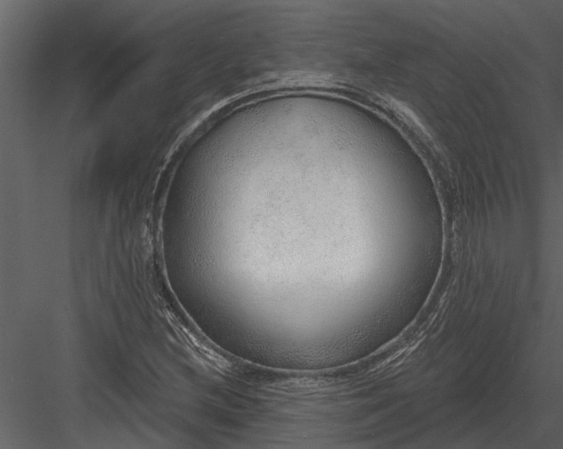 X0000083551212200702240102