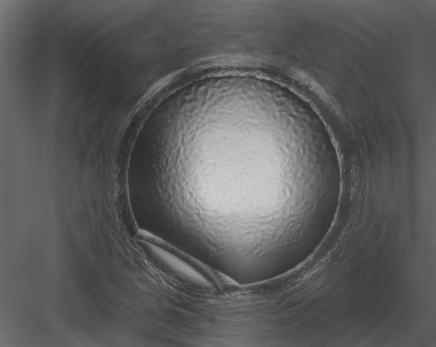 X0000083551213200702240102