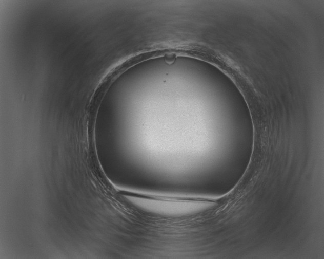 X0000083551214200702240102