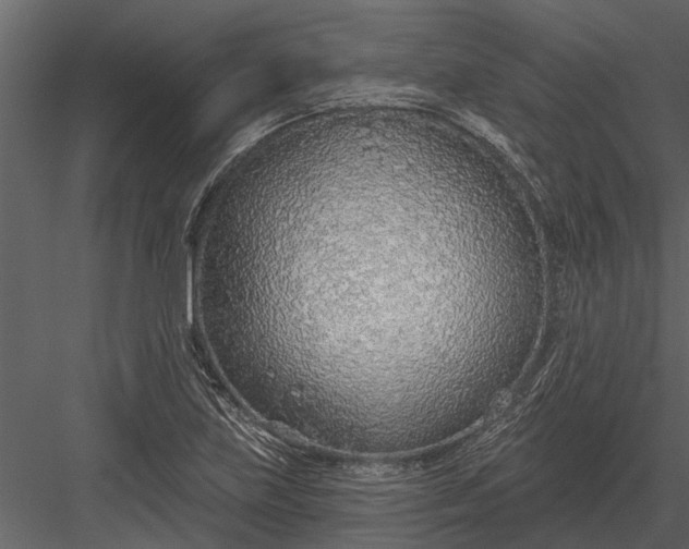 X0000083551219200702240102