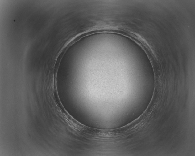 X0000083551220200702240102