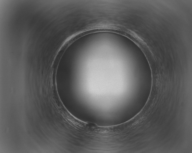 X0000083551222200702240102