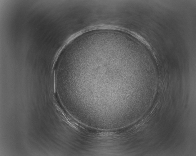 X0000083551223200702240102