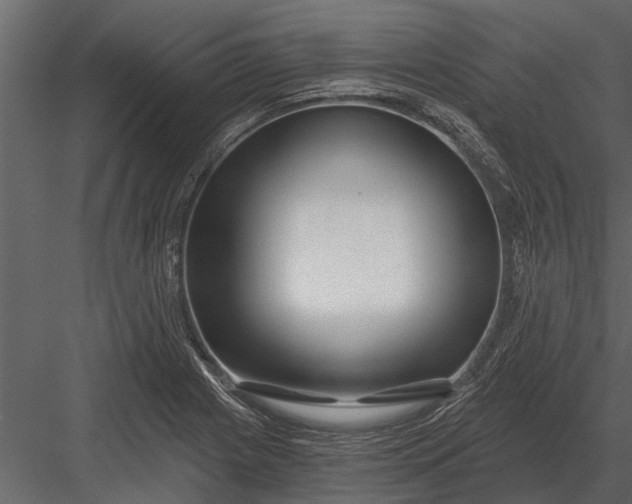 X0000083551225200702240102