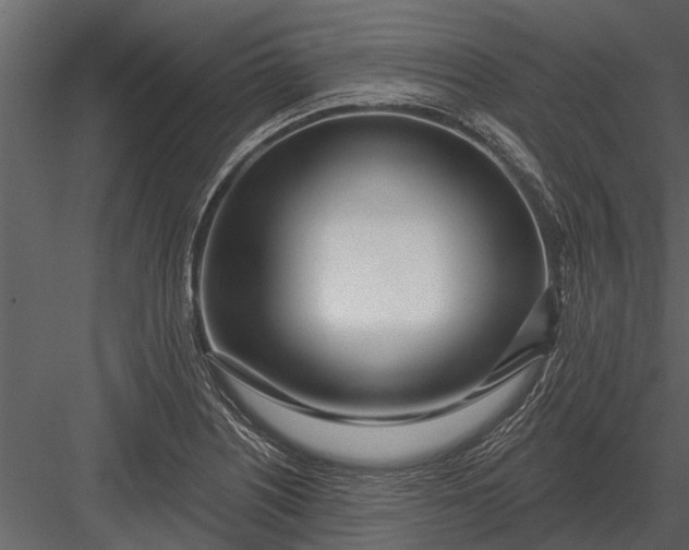 X0000083551226200702240102