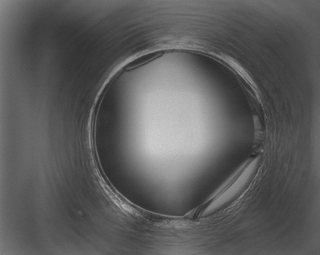 X0000083551246200702240103