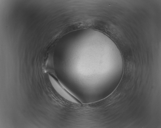 X0000083551250200702240102