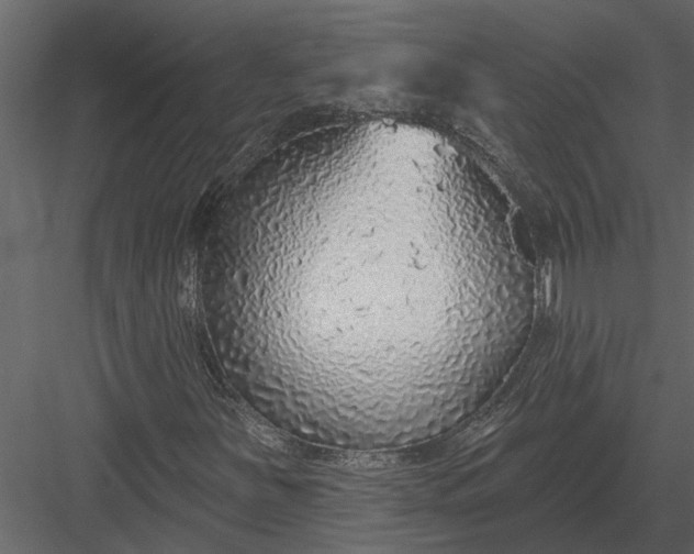 X0000083551251200702240102