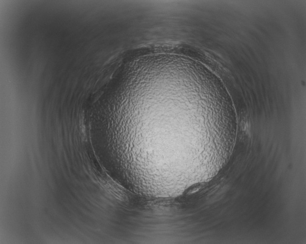 X0000083551252200702240102