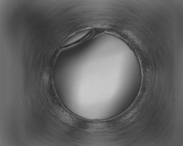 X0000083551257200702240102