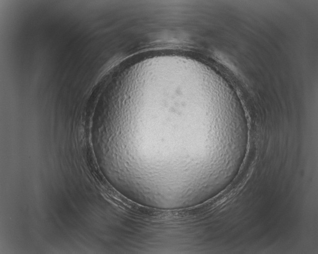 X0000083551259200702240102