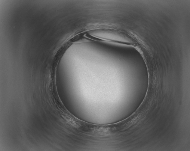 X0000083551261200702240102