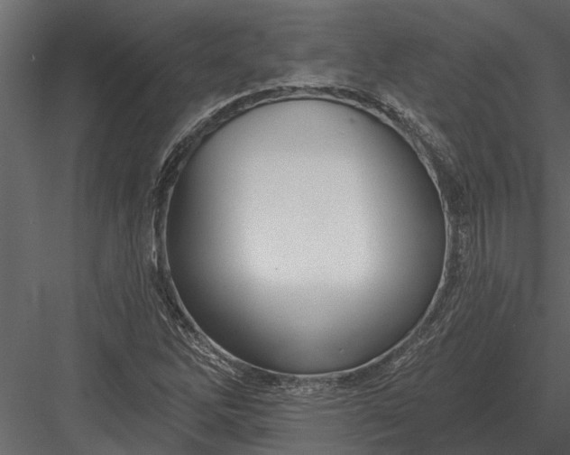 X0000083551262200702240102