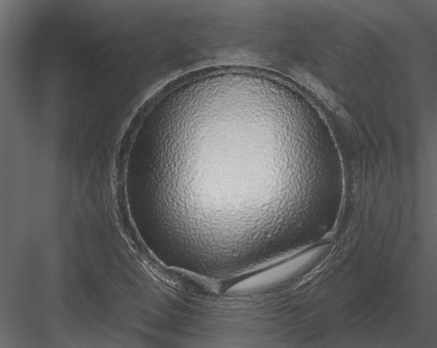 X0000083551264200702240102