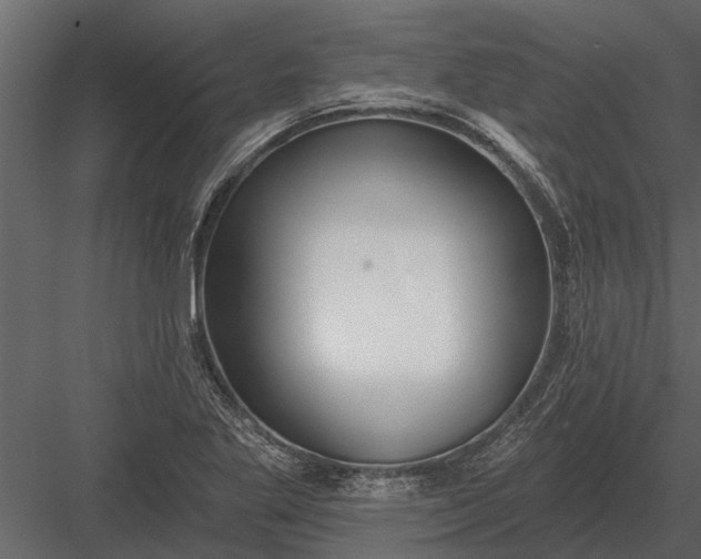X0000083551269200702240102