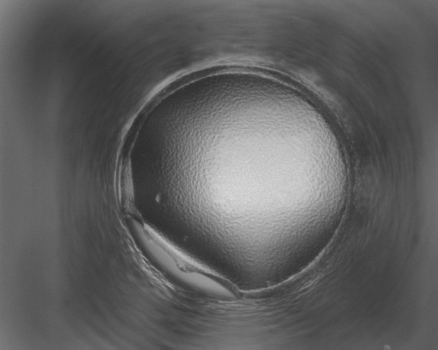 X0000083551272200702240101